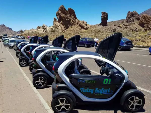 EXPÉRIENCE Twizy Safari – Image 13