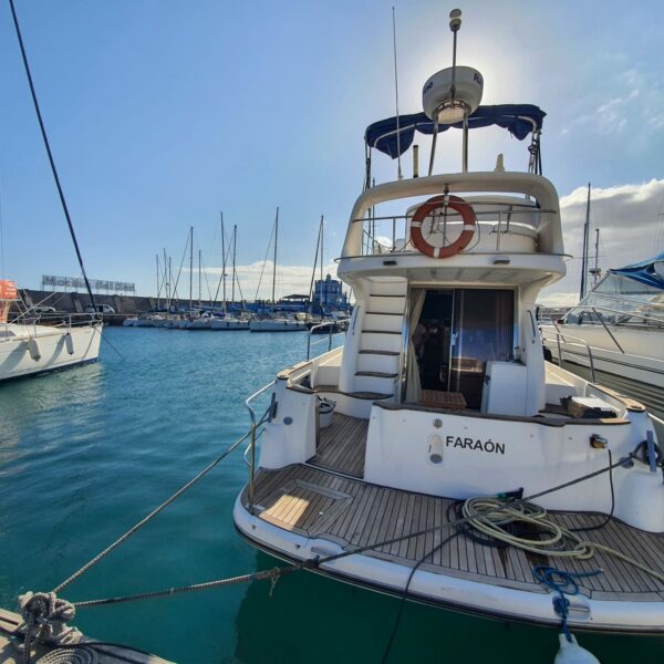 EXPÉRIENCE Sortie Pêche Privée – Image 14