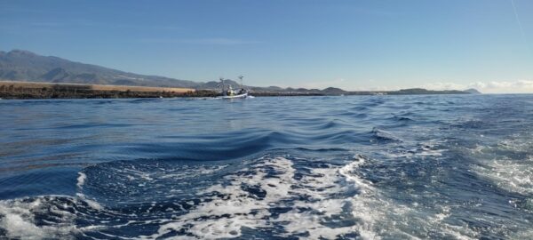 EXPÉRIENCE Sortie Pêche Privée – Image 5
