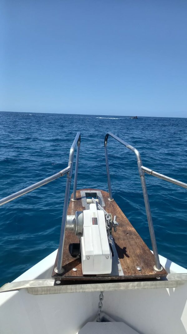 EXPÉRIENCE Sortie Pêche – Image 9