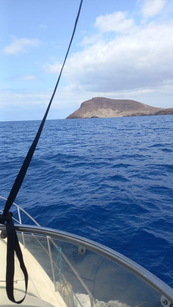 EXPÉRIENCE Sortie Pêche Privée – Image 19