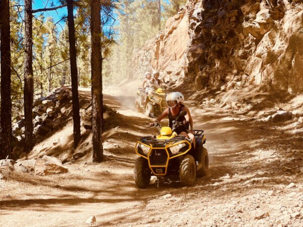 EXPÉRIENCE Quad Forêts Cannariennes – Image 5