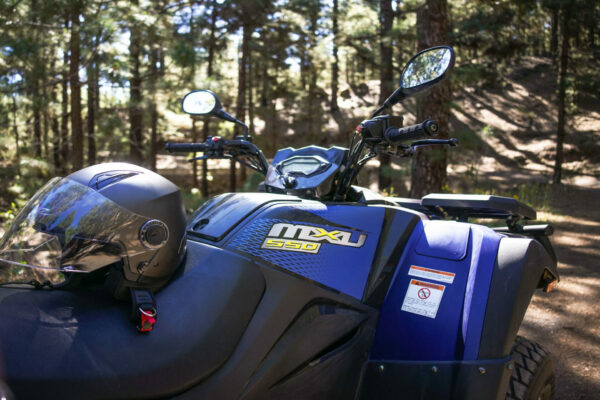 EXPÉRIENCE Quad Forêts Cannariennes – Image 8