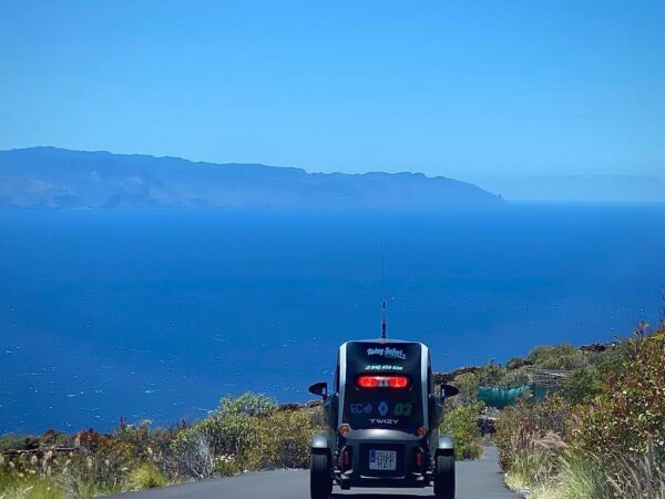 EXPÉRIENCE Twizy Safari – Image 2