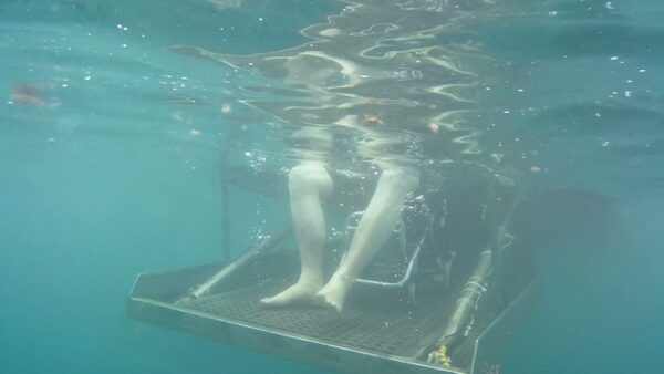 EXPÉRIENCE Sortie Privée en Mer pour les personnes à mobilité réduite – Image 5