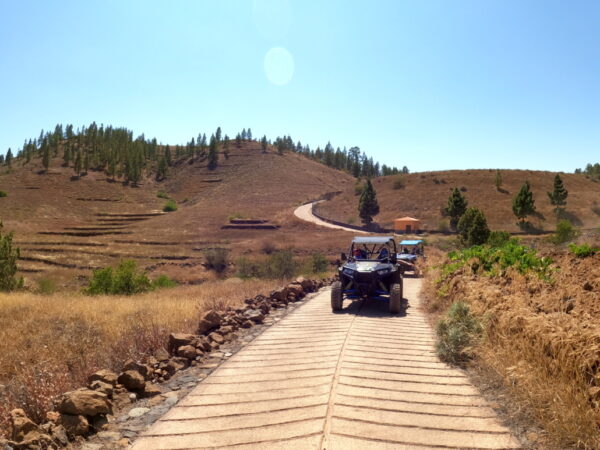 EXPÉRIENCE Teide Buggy Poralis RZR – Image 10