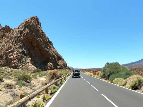 EXPÉRIENCE Teide Buggy Poralis RZR – Image 6
