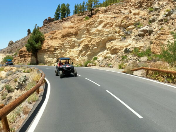 EXPÉRIENCE Teide Buggy Poralis RZR – Image 5