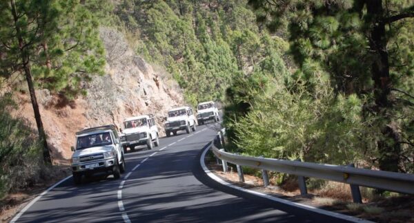 EXPÉRIENCE Jeep Safari Teide et Masca – Image 7