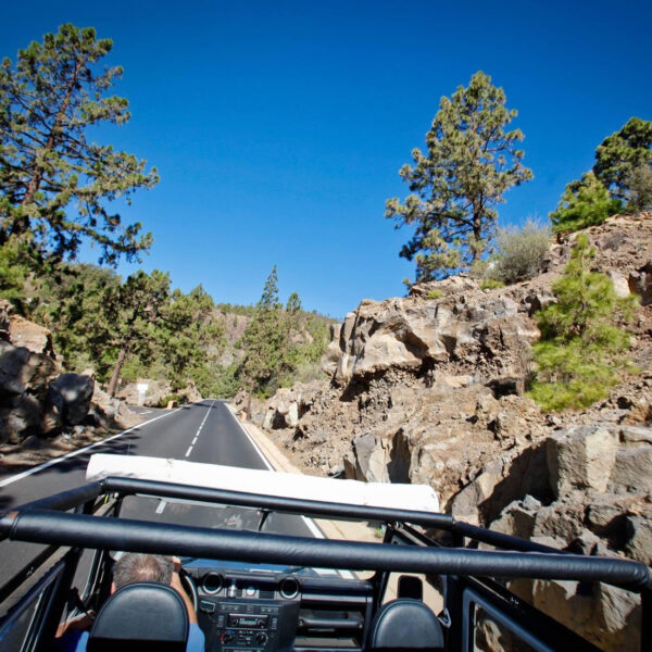 EXPÉRIENCE Jeep Safari Teide et Masca