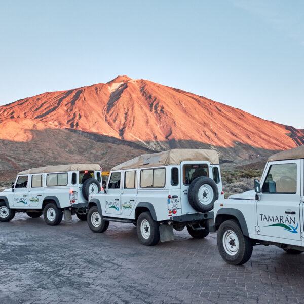 EXPÉRIENCE Jeep Safari Teide DEMI-JOURNEE