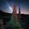 EXPÉRIENCE Teide by Night – Image 2